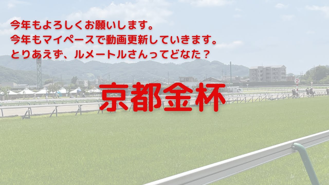 予想動画（京都金杯）