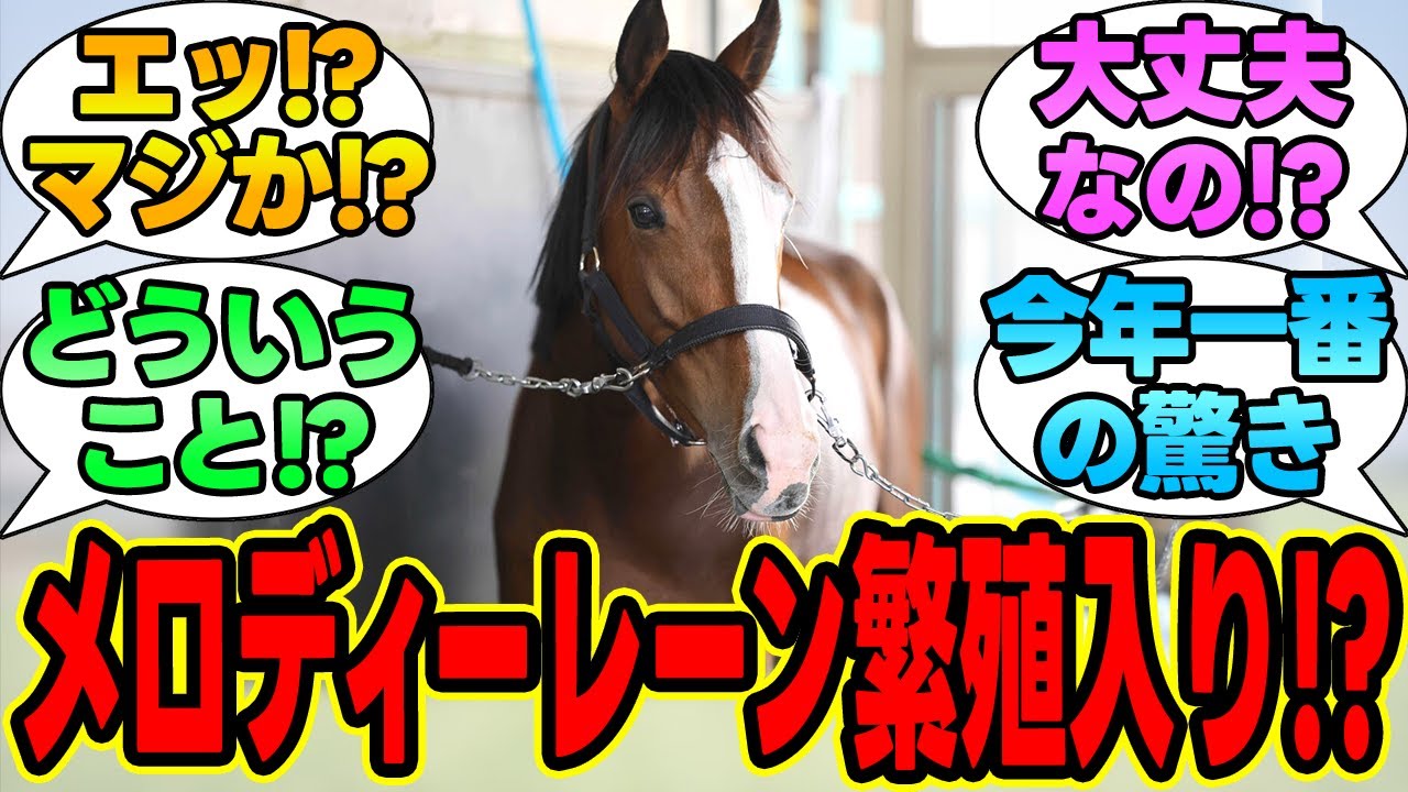 『メロディーレーン、引退後に繁殖入りを検討』に対する競馬民の反応集