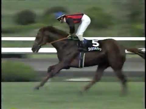 2000 ポートアイランドS エイシンルバーン