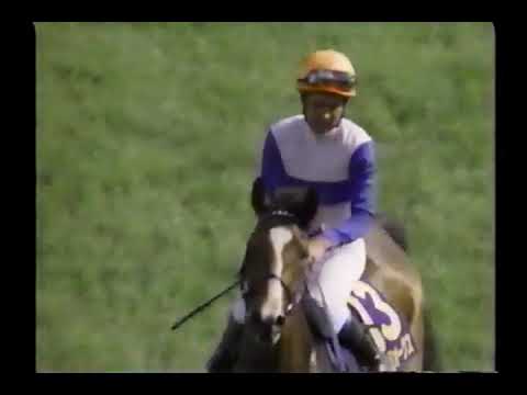 2001 オークス レディパステル