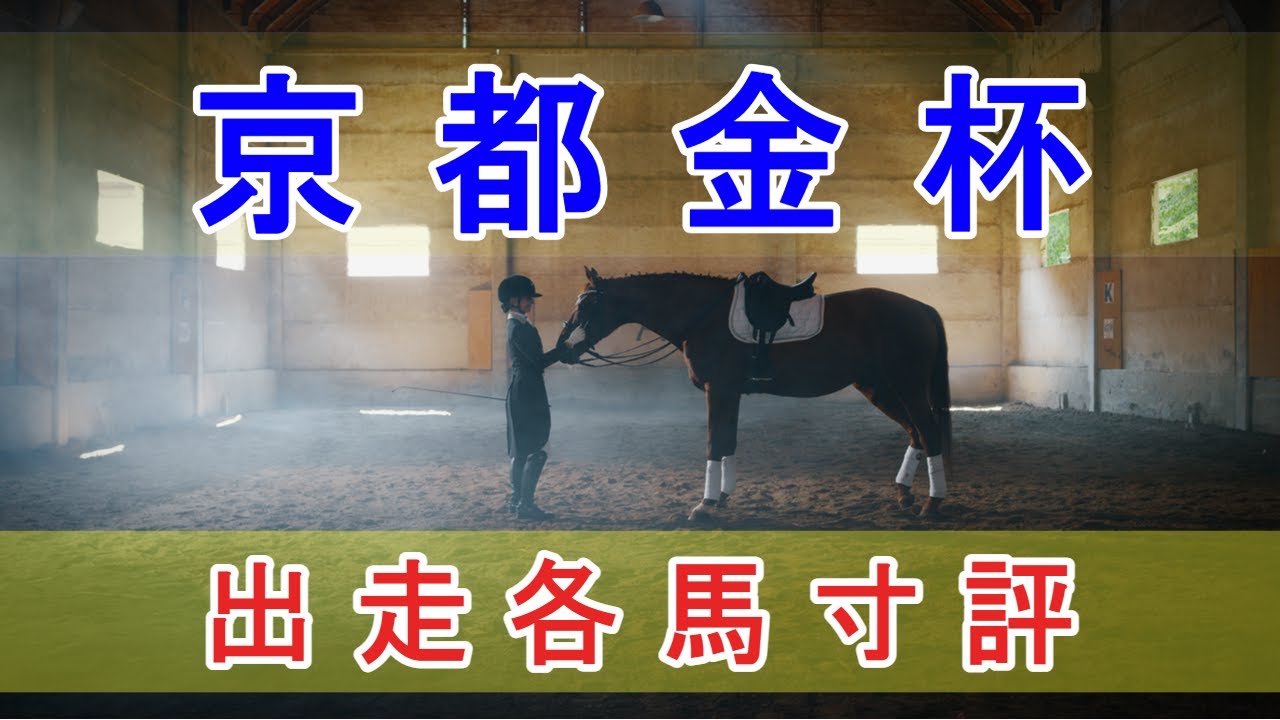 京都金杯 2024 - 出走各馬寸評