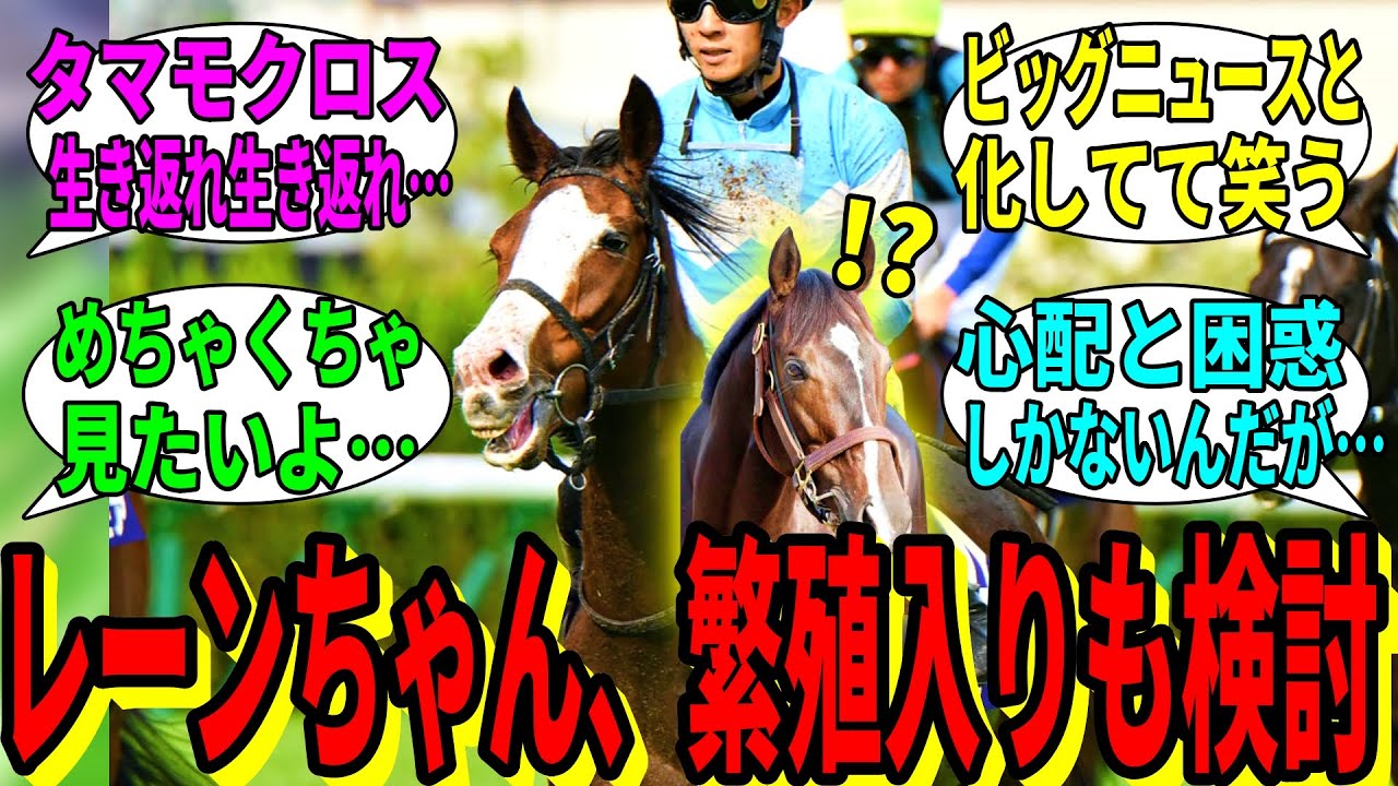 【競馬の反応集】「メロディーレーン、繁殖入りも検討」に対する視聴者の反応集