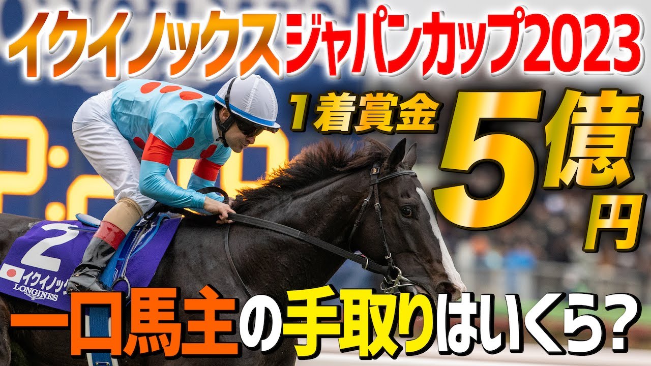 【一口馬主の真実】イクイノックス引退レースのジャパンカップ1着賞金5億円！5口出資者の手取り金額が判明【節約大全】vol.1200