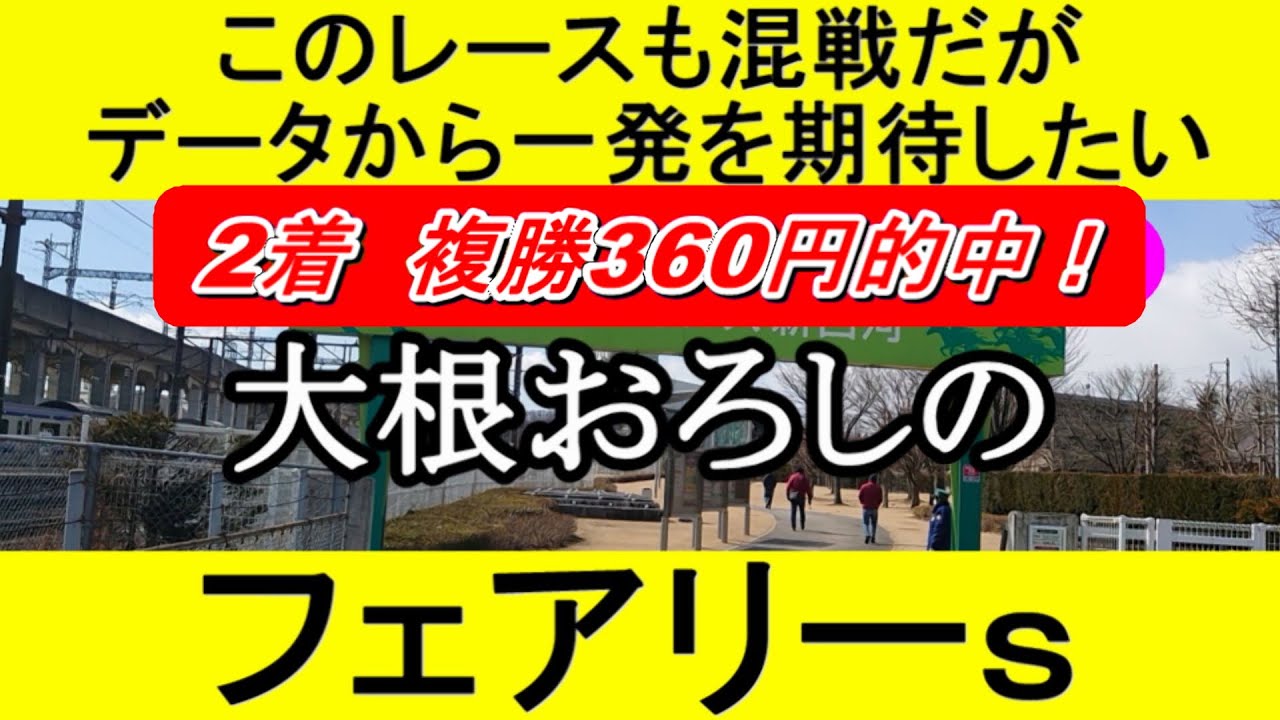 フェアリーステークス2023のデータから導き出した最終予想【競馬予想】