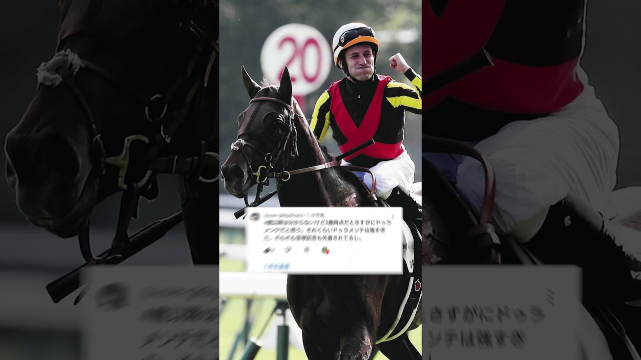 ドゥラメンテvsキタサンブラック。菊花賞で対決したらどっちが勝ってたか？ 視聴者3万6000人の声を発表します！　#shorts #競馬