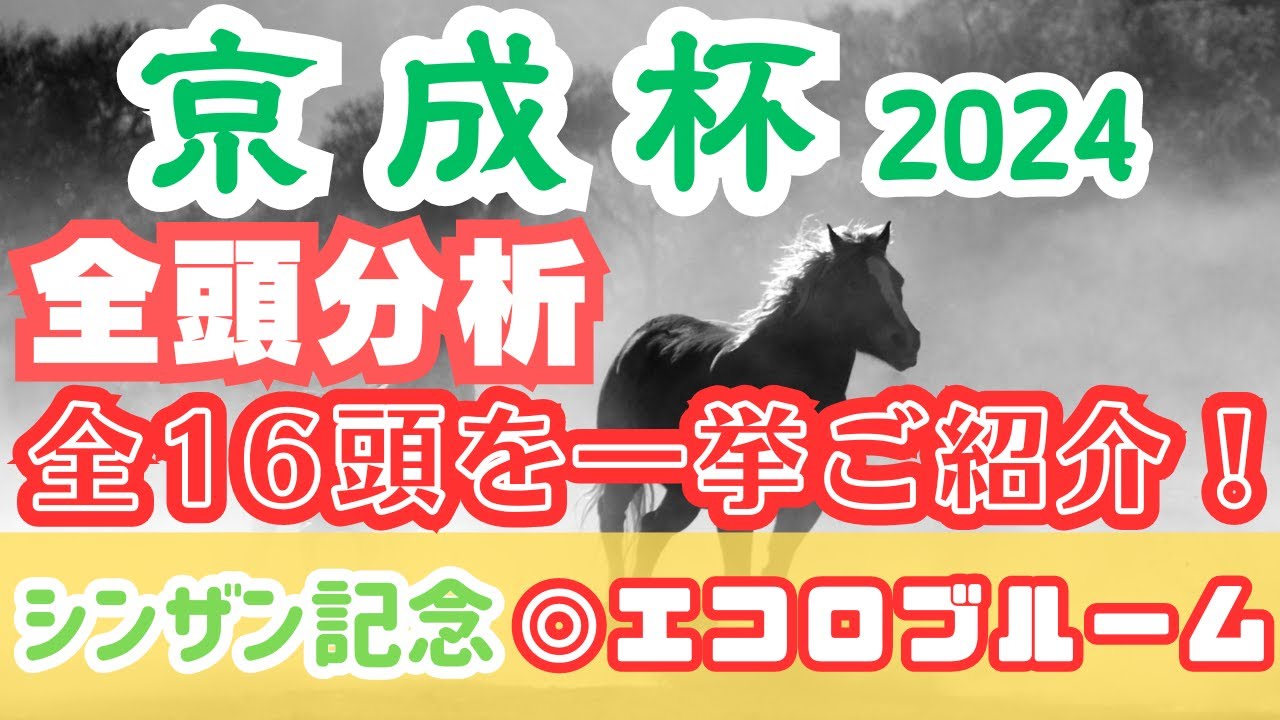 【京成杯2024】3強対決！3強以外に買いたい馬とは？【全頭分析】