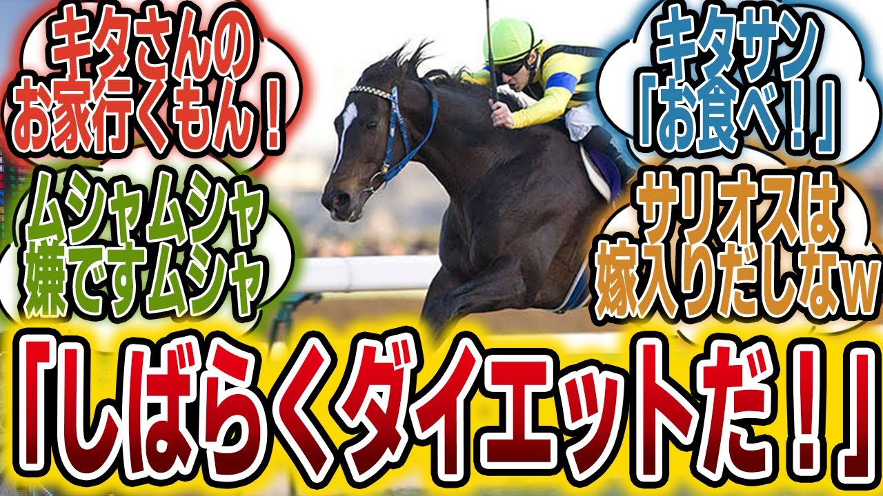 「おい息子たち！明日からダイエットだ！おやつ抜き！」に対するみんなの反応【競馬の反応集】