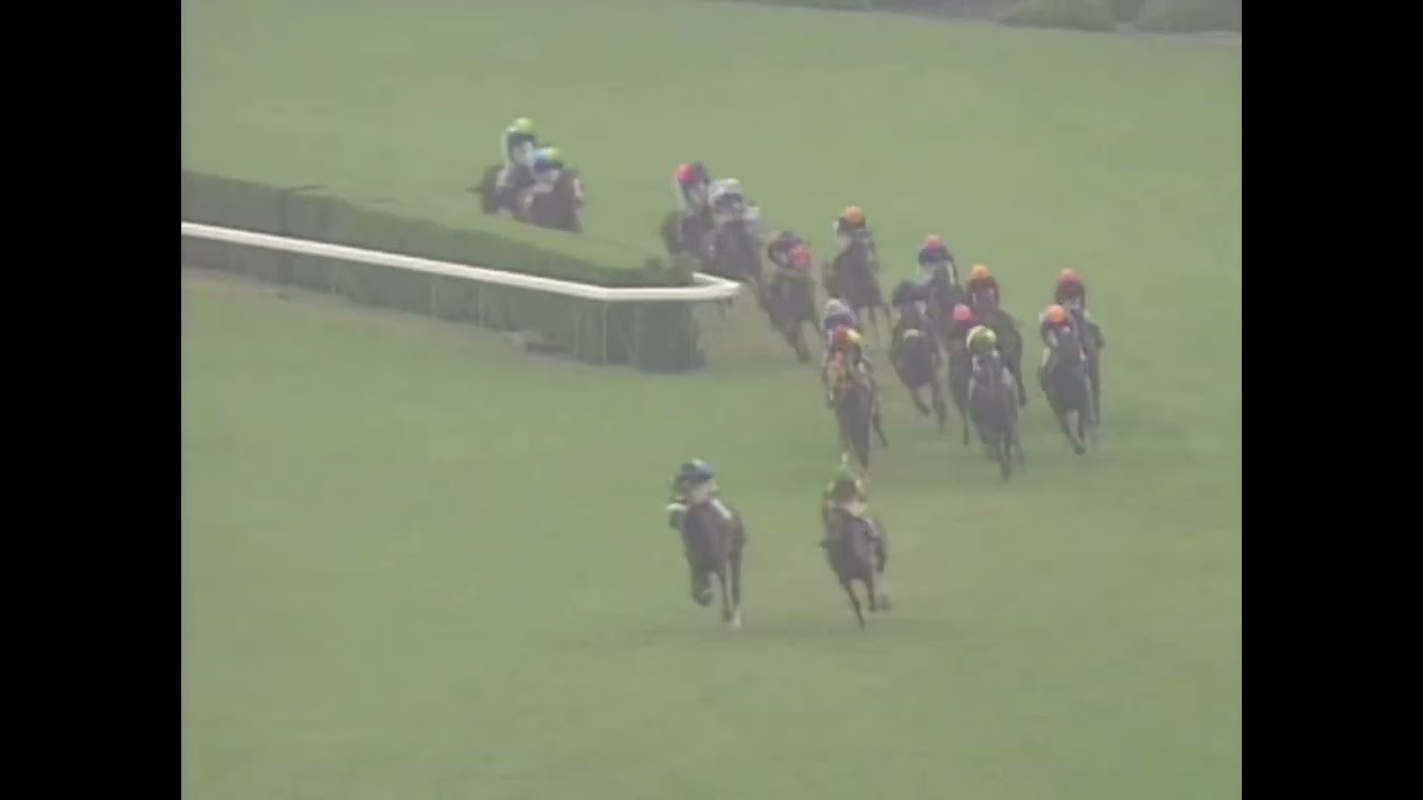 ヒシミラクル 2002年 第63回菊花賞(GI) (優勝馬：ヒシミラクル)