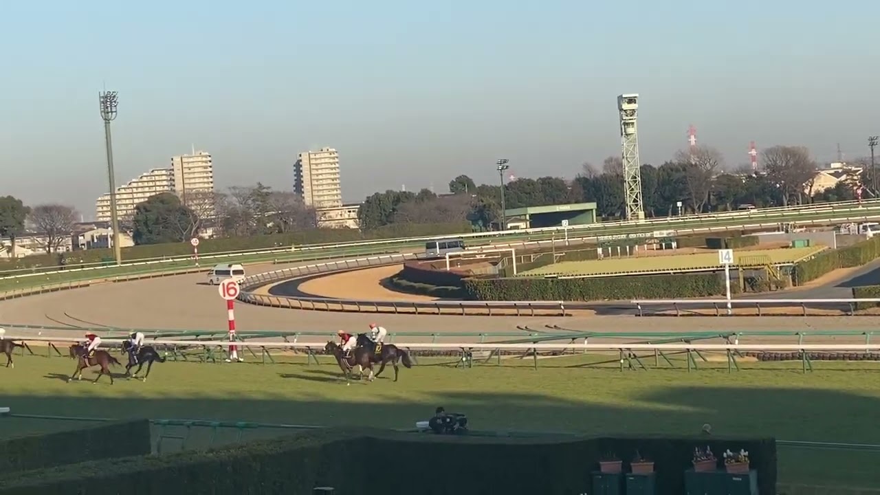 【現地映像】ジュニアカップ　キャプテンシー
