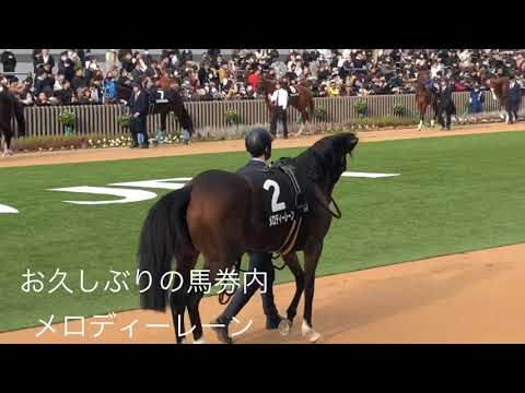 新春京都競馬場訪問『ど根性で馬券内メロディーレーン』