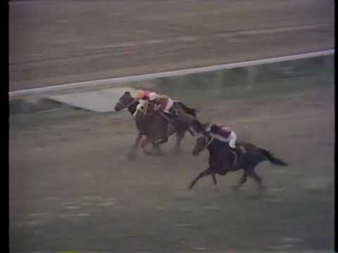 1969 天皇賞春 タケシバオー
