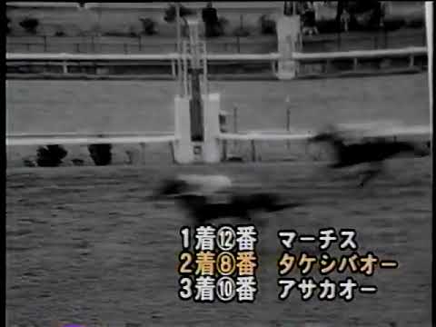 1968 皐月賞 マーチス