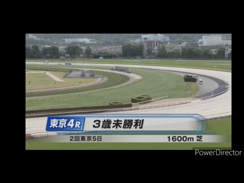 2023.5.6 東京4R ⑮シロノクミキョク