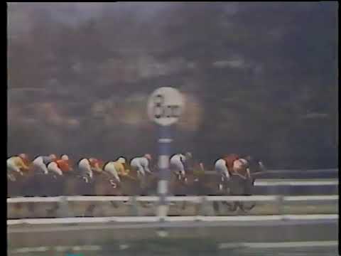 1970 皐月賞 タニノムーティエ