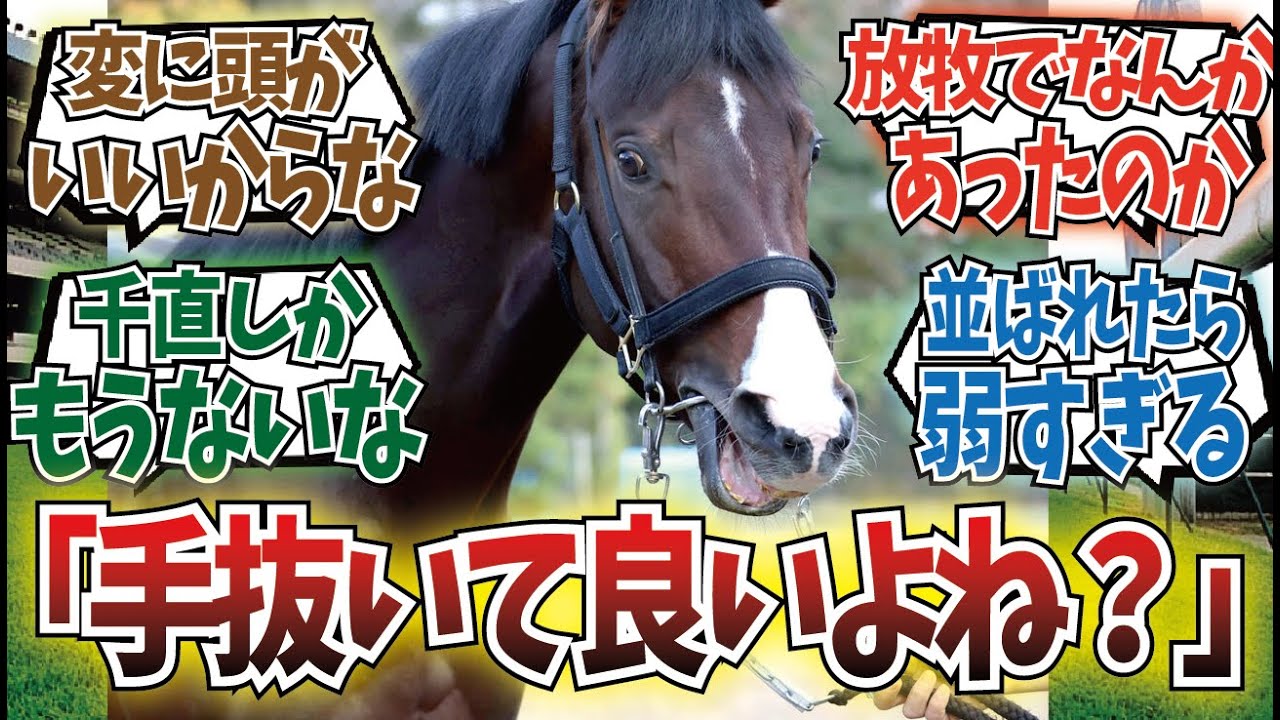 「ドルチェモアってなんで走らなくなったんだ？」に対するみんなの反応集