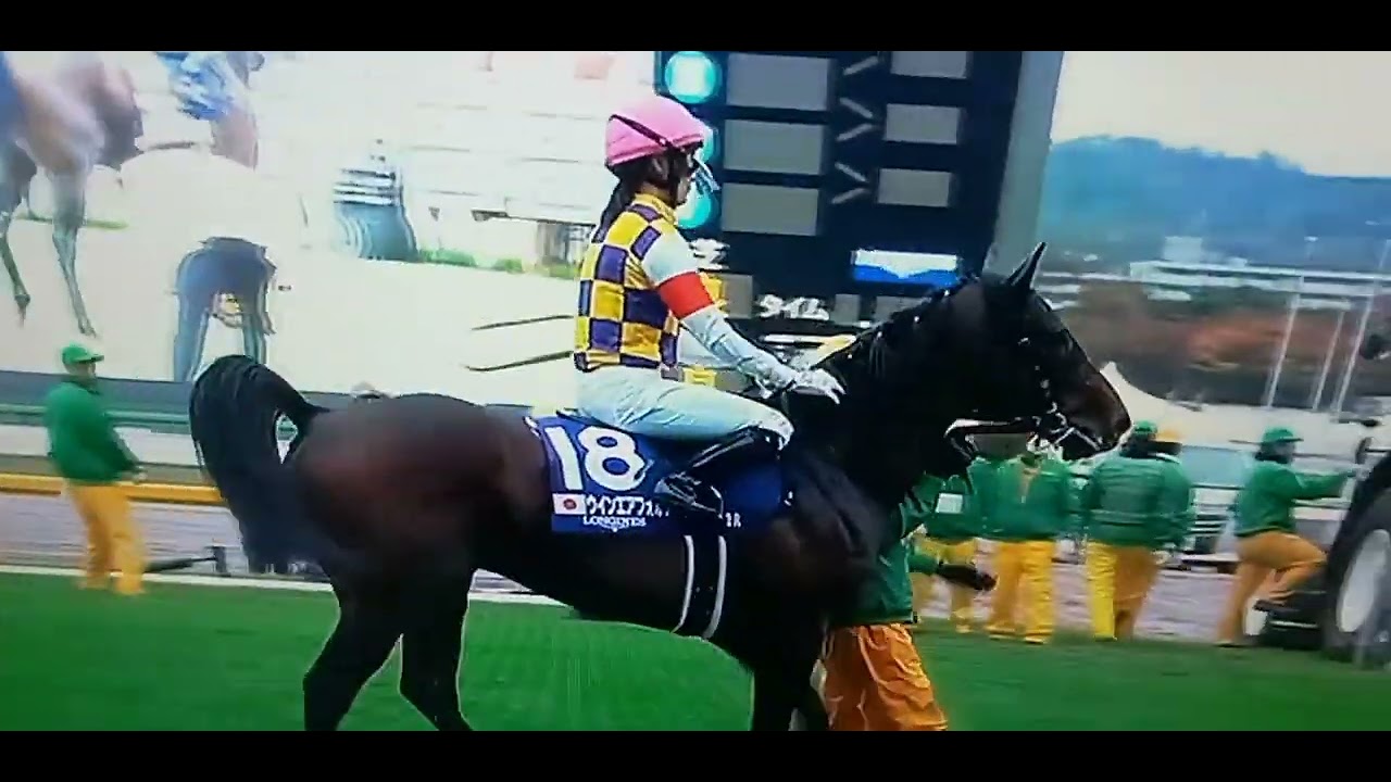 2023年第43回ジャパンカップイクイノックス