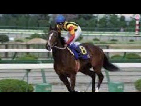 第53回　桜花賞 （ＧⅠ）　ベガ　牝３　55　武豊　1993.4.11　　出走馬：ユキノビジン、マックスジョリー、ヤマヒサローレル、ホクトベガ、スエヒロジョウオー、タカノプリマ、タイジュリエット他