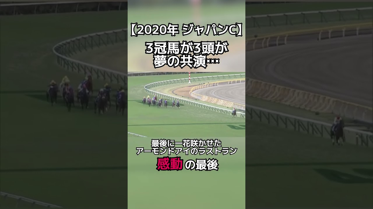 【競馬】3冠馬3頭が夢の共演…#競馬 #ジャパンカップ #アーモンドアイ #コントレイル #デアリングタクト #ウマ娘