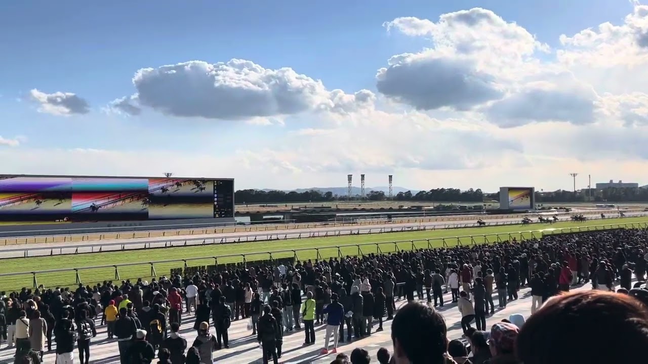 2024/01/07 琵琶湖特別　直線　2番　ケイアイサンデラ単勝　藤懸騎手　京都競馬場