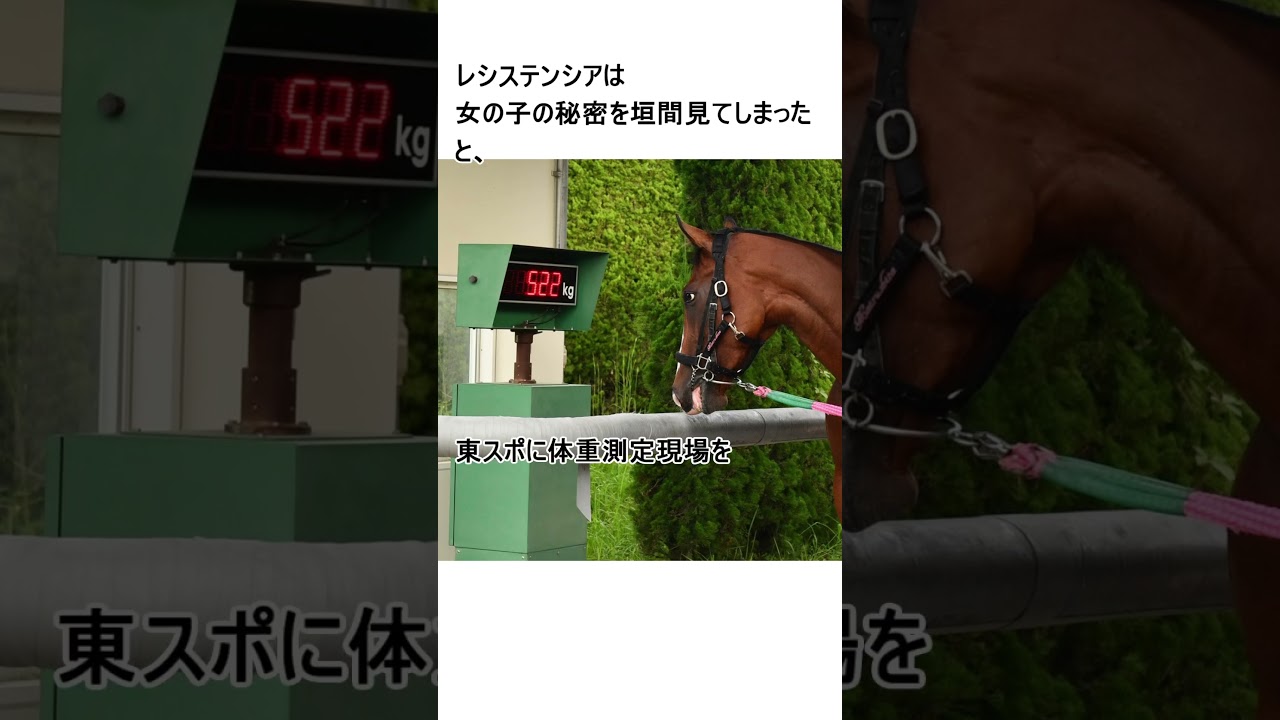 レシステンシアのヒミツ
