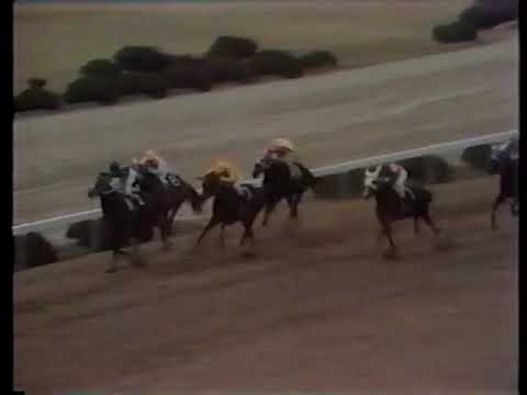 1973 大阪杯 ニホンピロムーテー