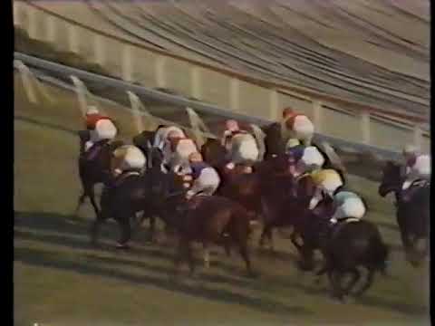 1972 菊花賞 イシノヒカル