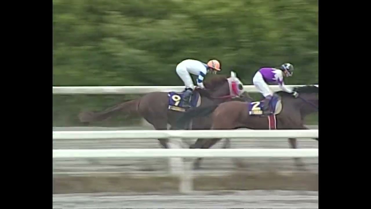 2009年05月15日　第13回黒潮皐月賞