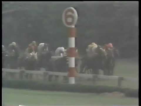 1973 天皇賞春 タイテエム