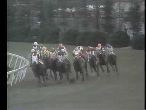 1973 菊花賞 タケホープ