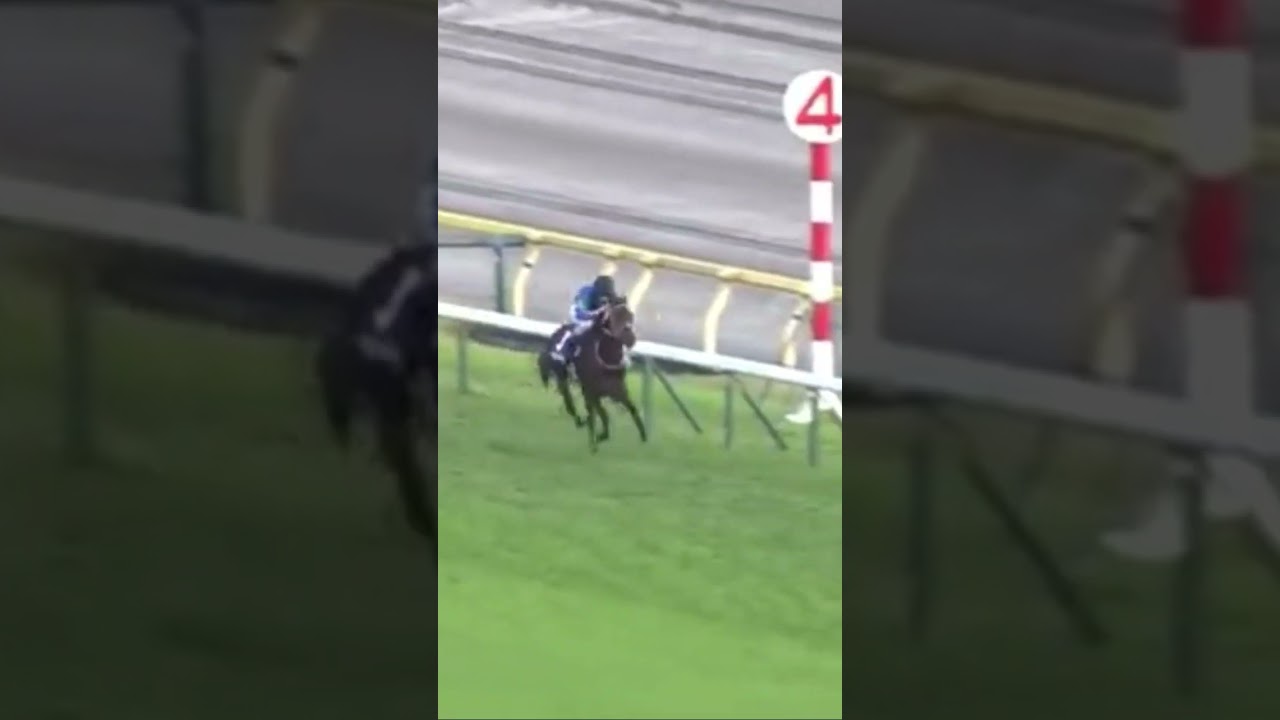 #パンサラッサ といえばやはり#天皇賞・秋 2022 これは伝説級🐴