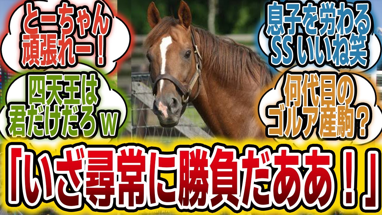 「我が名はサンデーサイレンスダート四天王の・・・」に対するみんなの反応【競馬の反応集】