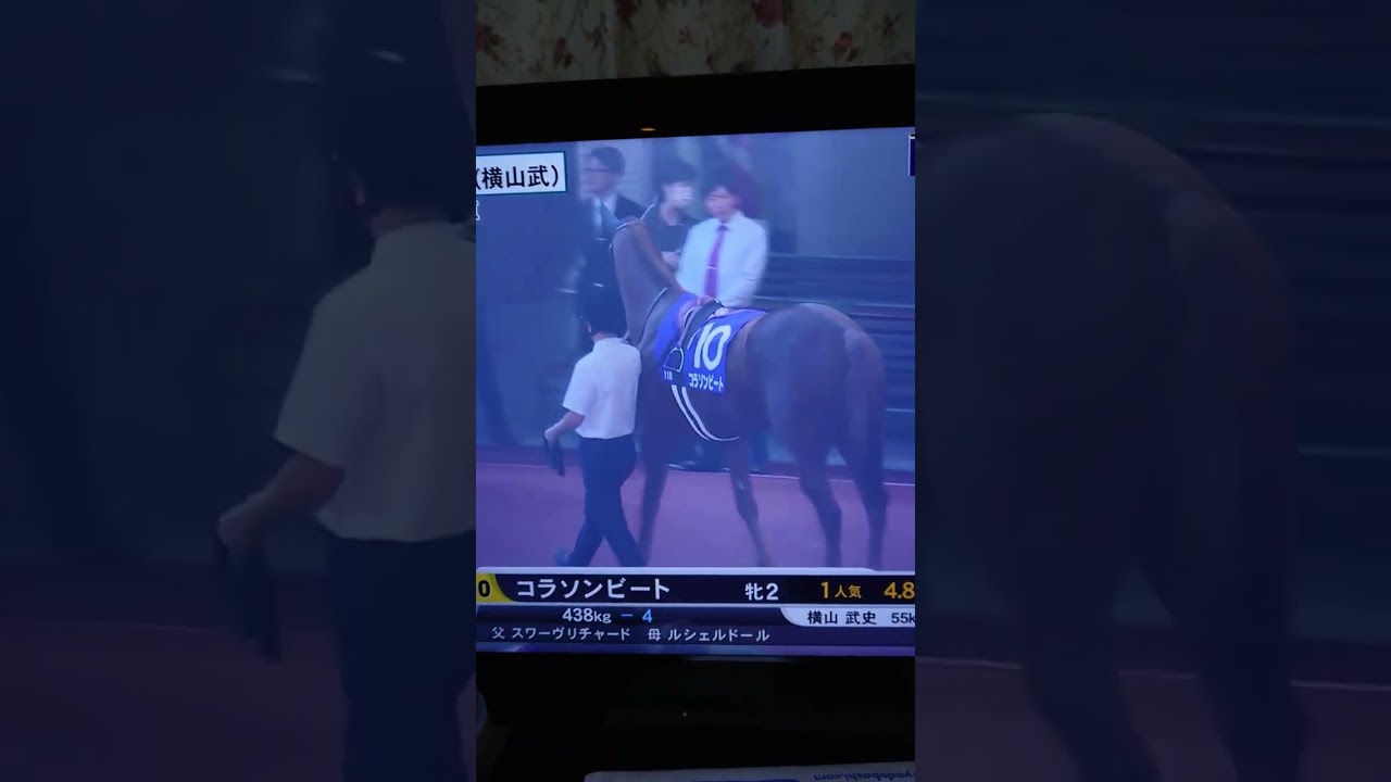 コラソンビートのパドック@阪神ジュベナイルフィリーズ2023