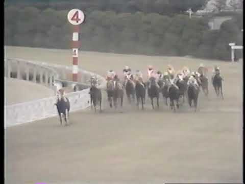 1975 桜花賞 テスコガビー