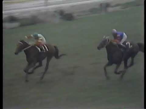 1976 天皇賞春 エリモジョージ