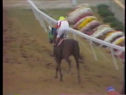 1976 菊花賞 グリーングラス
