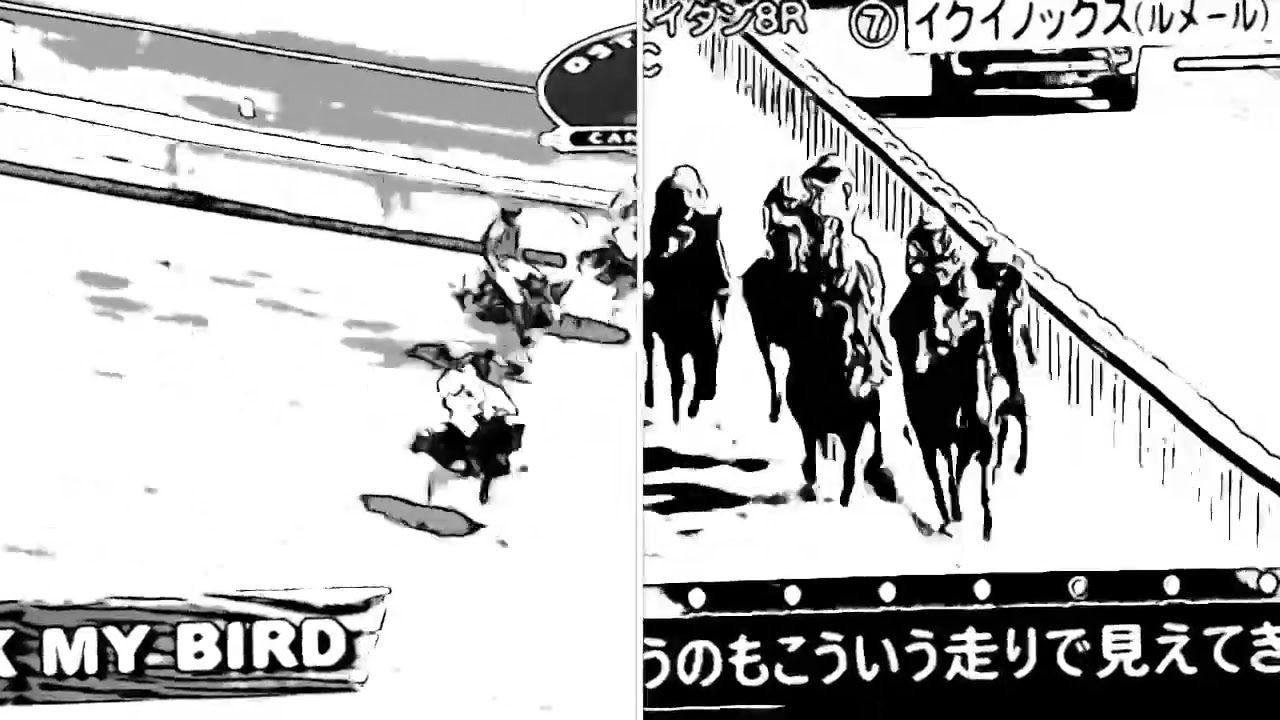 異種格闘技戦Ⅹ(特別編)·後編　世界異種最強最速王👑決定戦ダチョウ(ダチョウ)🆚🏇イクイノック戦