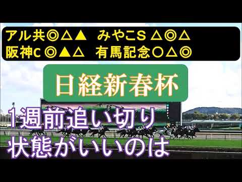 日経新春杯2024　1週前追い切り　A評価１頭のみ。