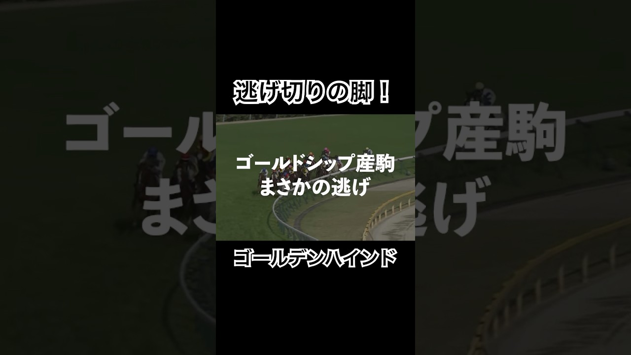 【ゴールデンハインド】ゴールドシップ産駒がまさかの逃げ切り勝ち#競馬 #中山金杯 #ゴールドシップ #ゴールドシップ産駒