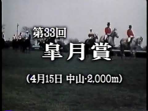 1973 皐月賞 ハイセイコー