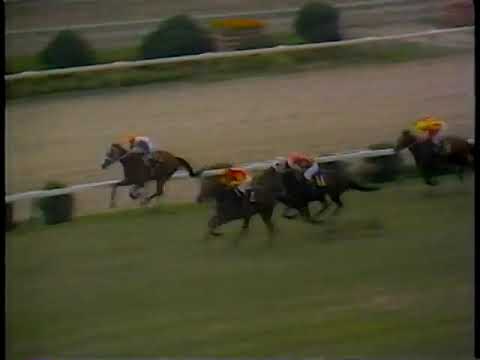 1971 皐月賞 ヒカルイマイ