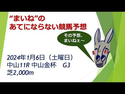 2024年中山11R 中山金杯 競馬予想