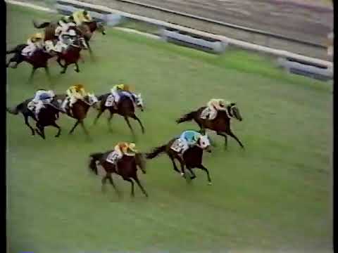 1971 日本ダービー ヒカルイマイ