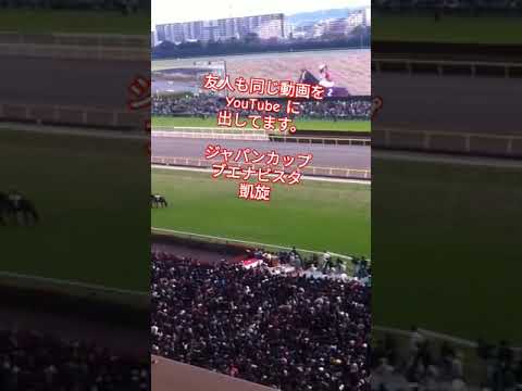 ジャパンカップ ブエナビスタ凱旋