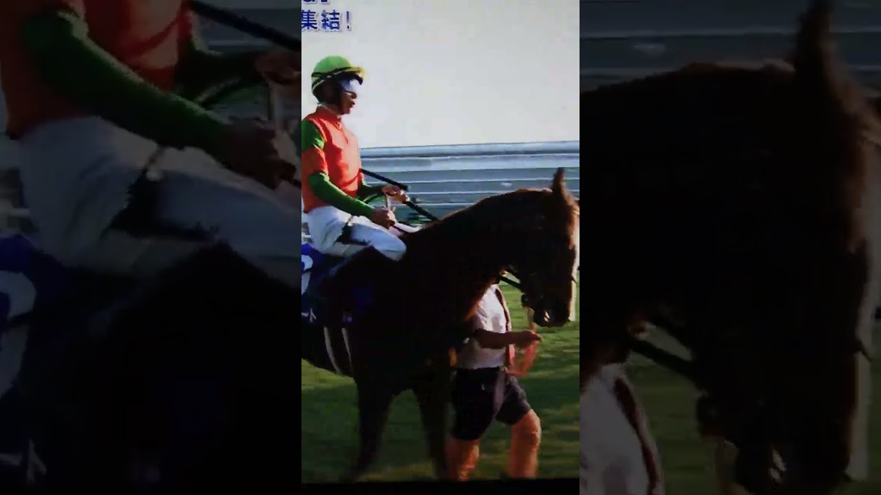 コラソンビート応援@阪神ジュベナイルフィリーズ2023