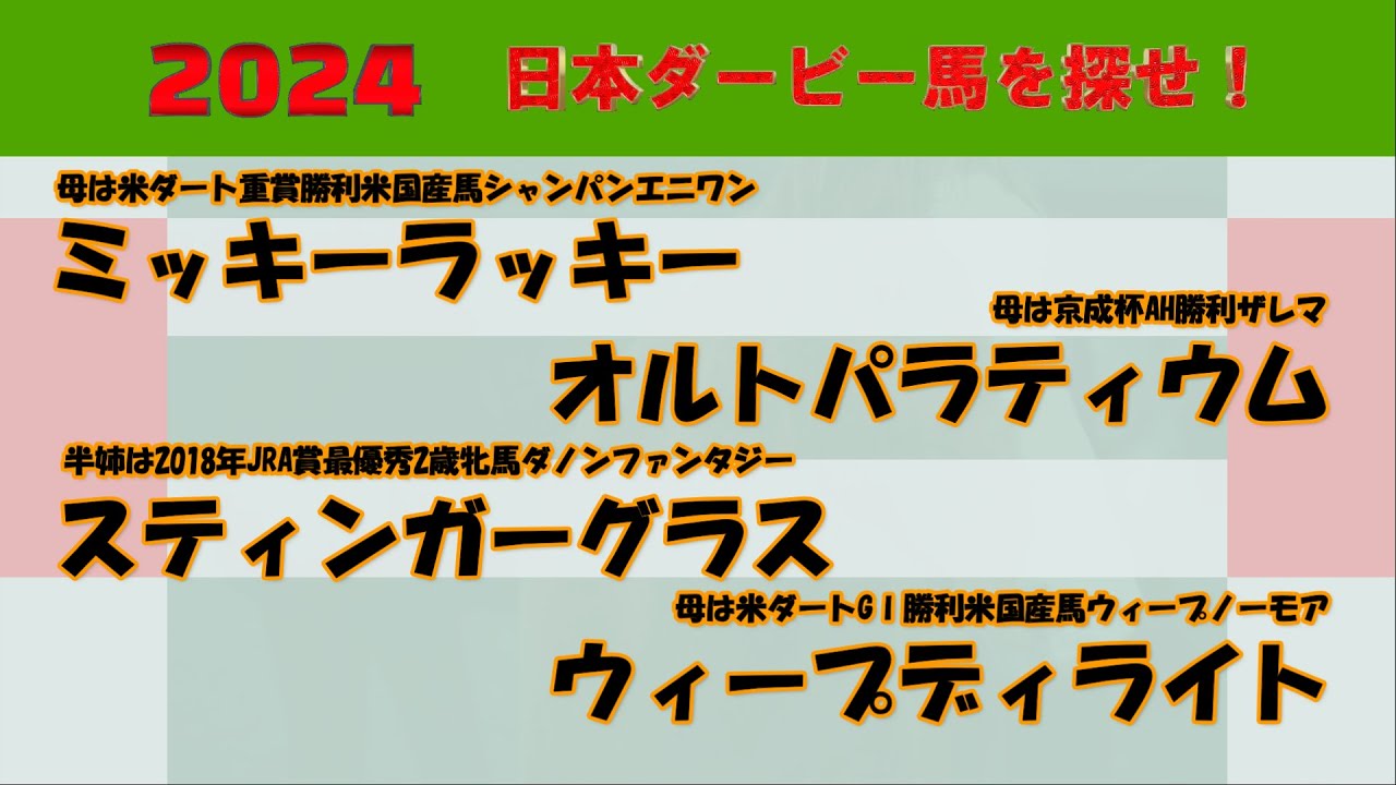 2024年日本ダービー馬を探せ！ #39　ミッキーラッキー、スティンガーグラス、オルトパラティウム、ウィープディライトを注目馬として取り上げました。