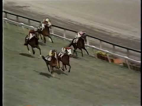 1970 日本ダービー タニノムーティエ
