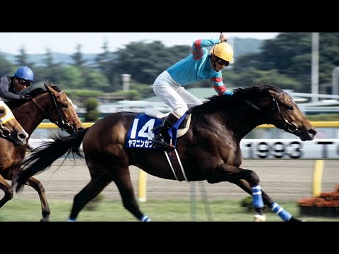 第43回　安田記念 （ＧⅠ）　ヤマニンゼファー　牡５　57　柴田善臣　1993.5.16　　出走馬：イクノディクタス、シンコウラブリイ、シスタートウショウ、ロータスプール、キットウッド、トシグリーン他