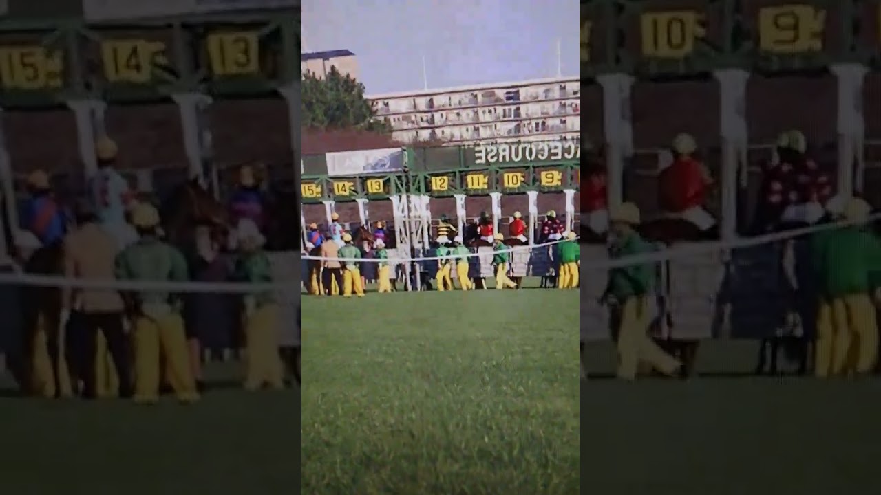 コラソンビートちゃん応援@阪神ジュベナイルフィリーズ2023