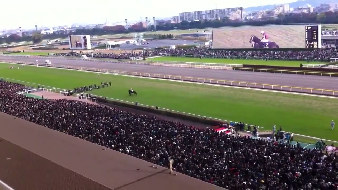 ジャパンカップ ブエナビスタ凱旋