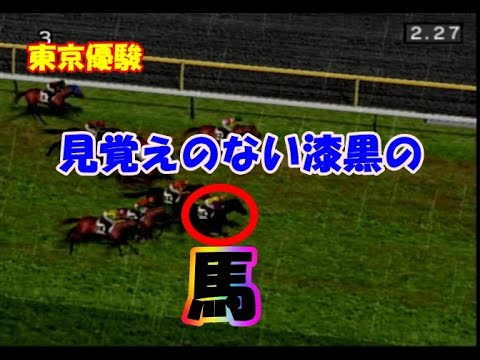 中年のダービー馬を作ろうでのボヤキvo.28(毛の写真集、ダービーに挑むの巻)